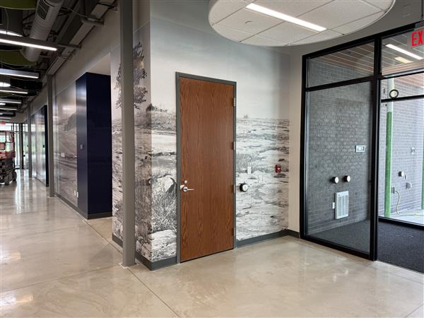 graphic wall